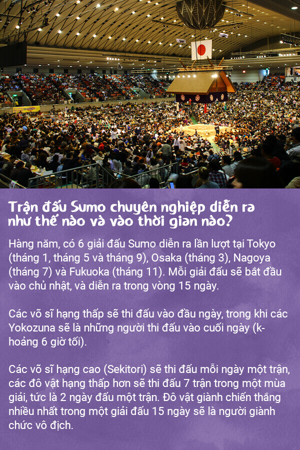 Trận đấu Sumo chuyên nghiệp diễn ra như thế nào và vào thời gian nào?